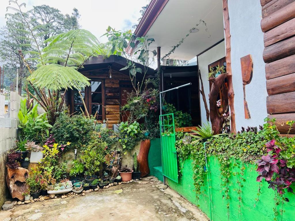 Ferienwohnung 20/20 Wood Cabana Nuwara Eliya Exterior foto